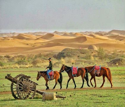 寧夏銀川+中衛(wèi)4日3晚跟團游